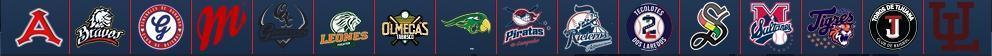 LMB Teams Logo LMB Teams Logo